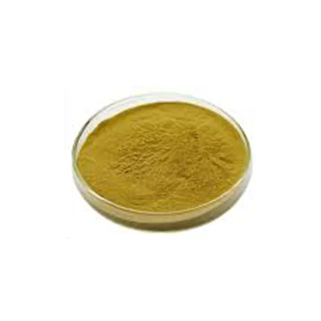 
Chinese Herbal Medicine 100% Pure Natural Rosemary Extract Powder 
