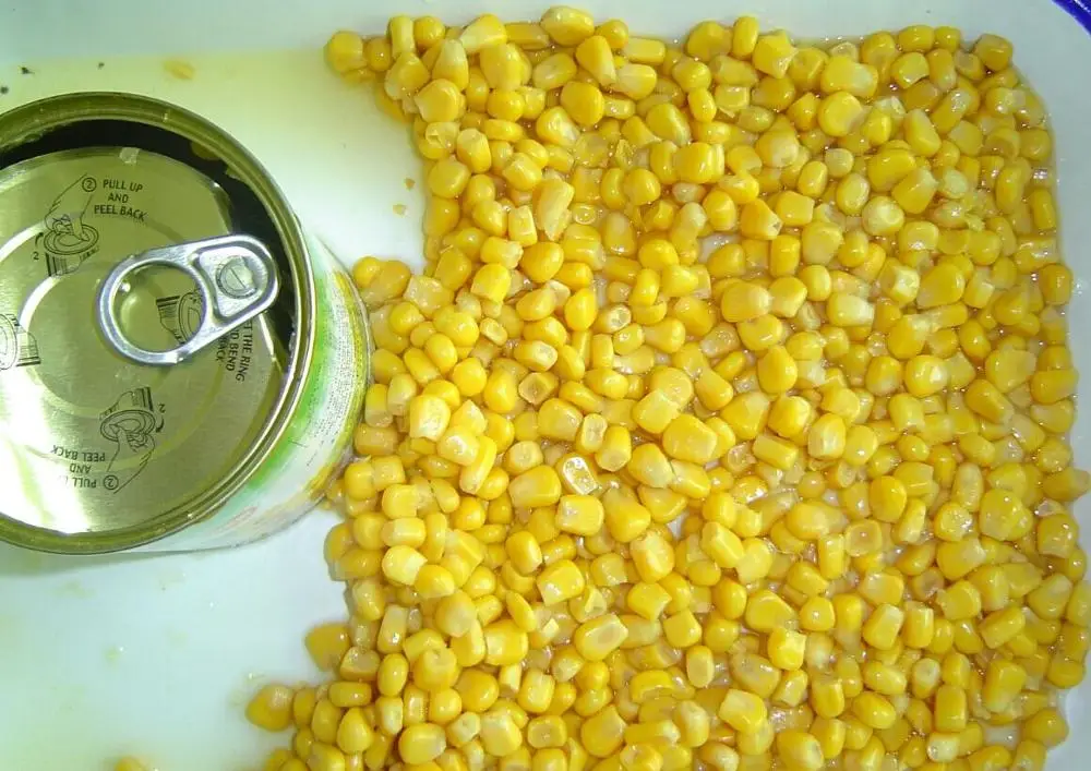 
sweet corn canned 