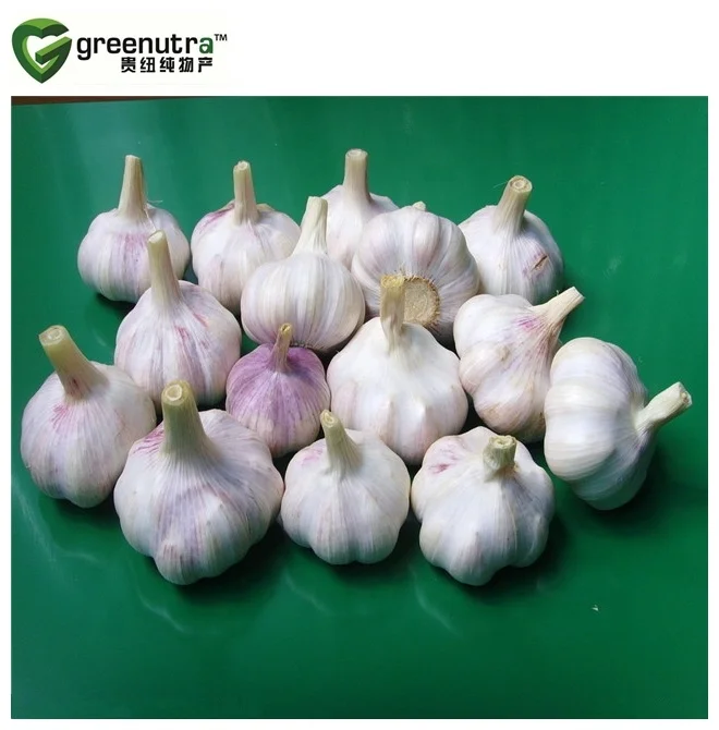 
Hot sale Garlic Extract Alliin 