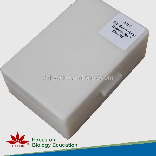 
High quality bacteria prepared slides Prepared microbiology bacteria slide set laboratory accessories 