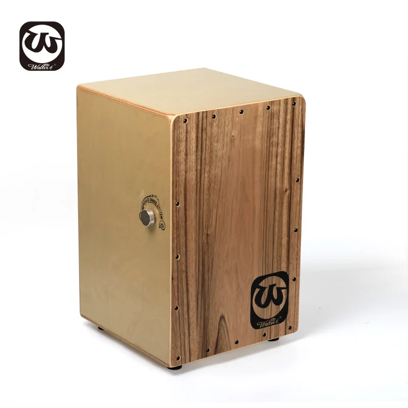 WR-501R excellent quality adult musical instrument