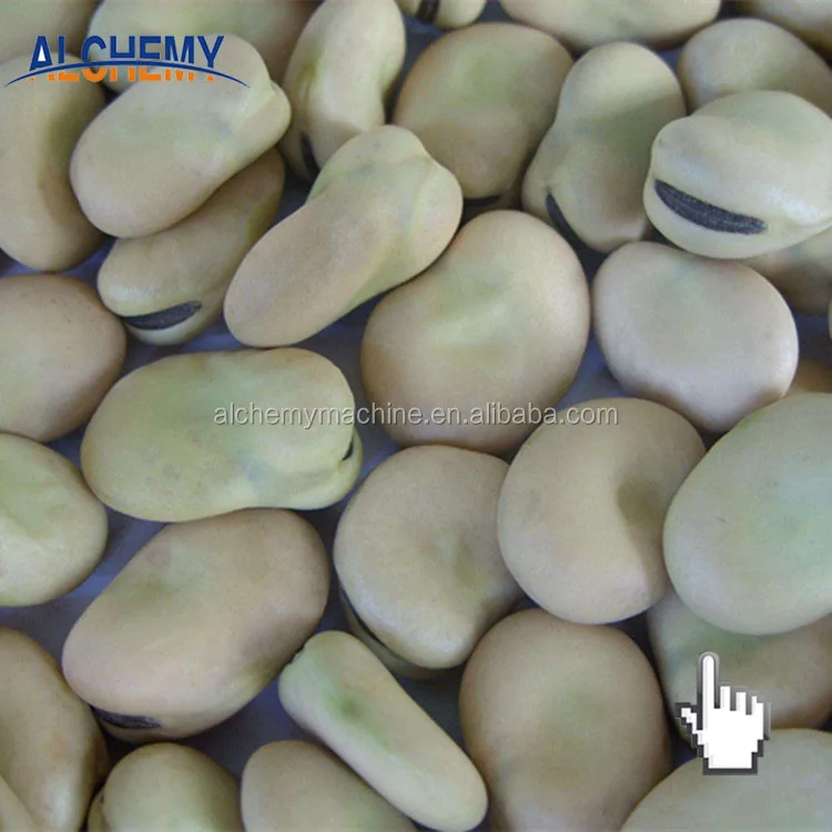 Red Kidney Beans and Red Beans with Wholesale Price