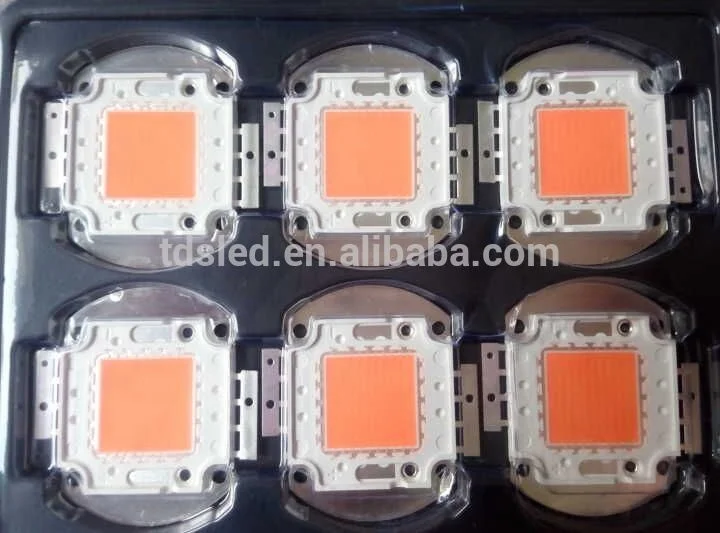 Factory wholesale 380nm - 840nm Full spectrum cob growing light led module 30W 50W for green house