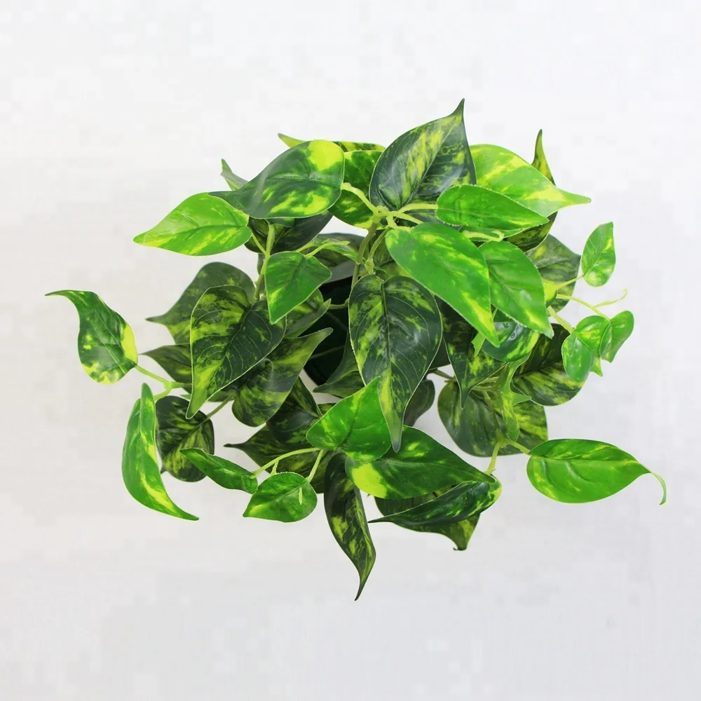 Most beautiful look real heart shaped artificial floor plants with pot