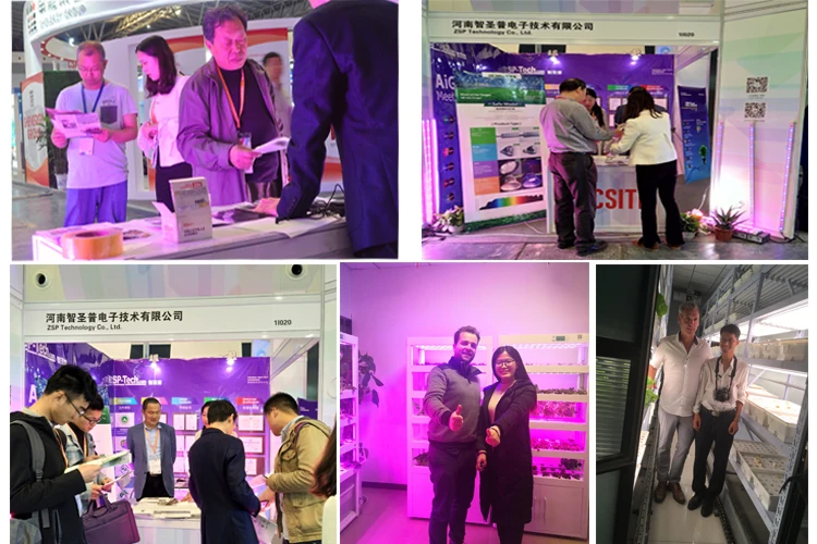 
Hydroponic Tomatoes Complete Grow Indoor Systems Cabinet Green House Commercial Hydroponic Equipment for Leaf Plants 