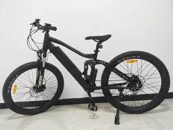 PETRIGO Factory Directly New Designs Battery Fat Tire Sport Downhill Mountain Electric Bike Electric Bike