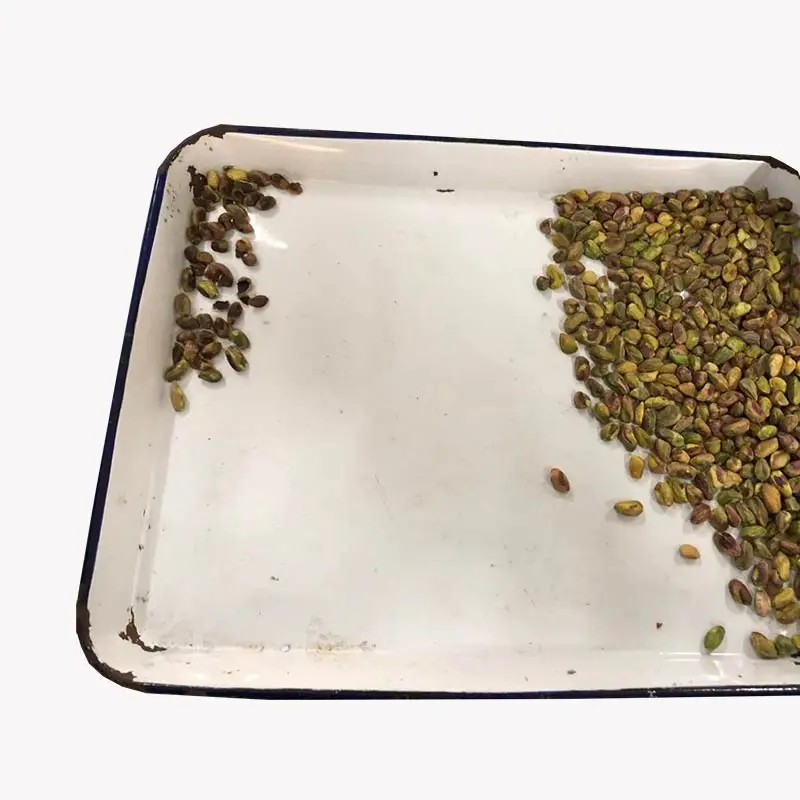Pistachio Processing Machine Nuts Sorter Pistachio Sorting Machine