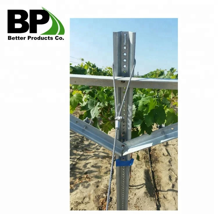 Grape Stakes/Vineyard and Orchard Trellis