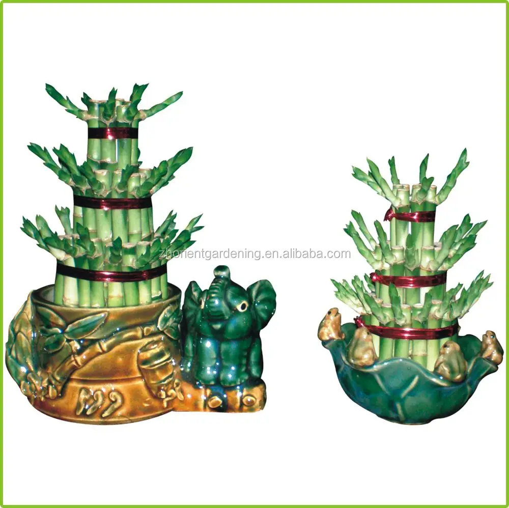 Многослойная башня, бамбуковое дерево бонсай на удачу, драцена, сандерия, декоративные водные растения в помещении, украшение для сада