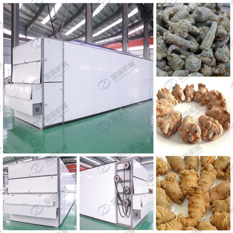
guoxin safe and reliable operation good quality dried salted fish drying machine 