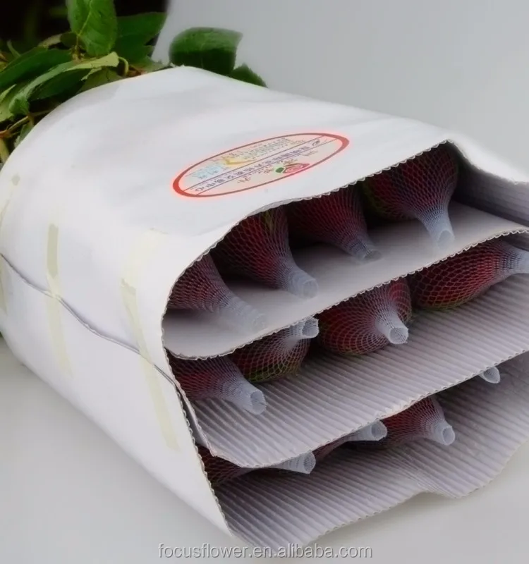 С конкурентоспособной ценой, бесплатная доставка, натуральные свежие резные цветы, резные розы Carola