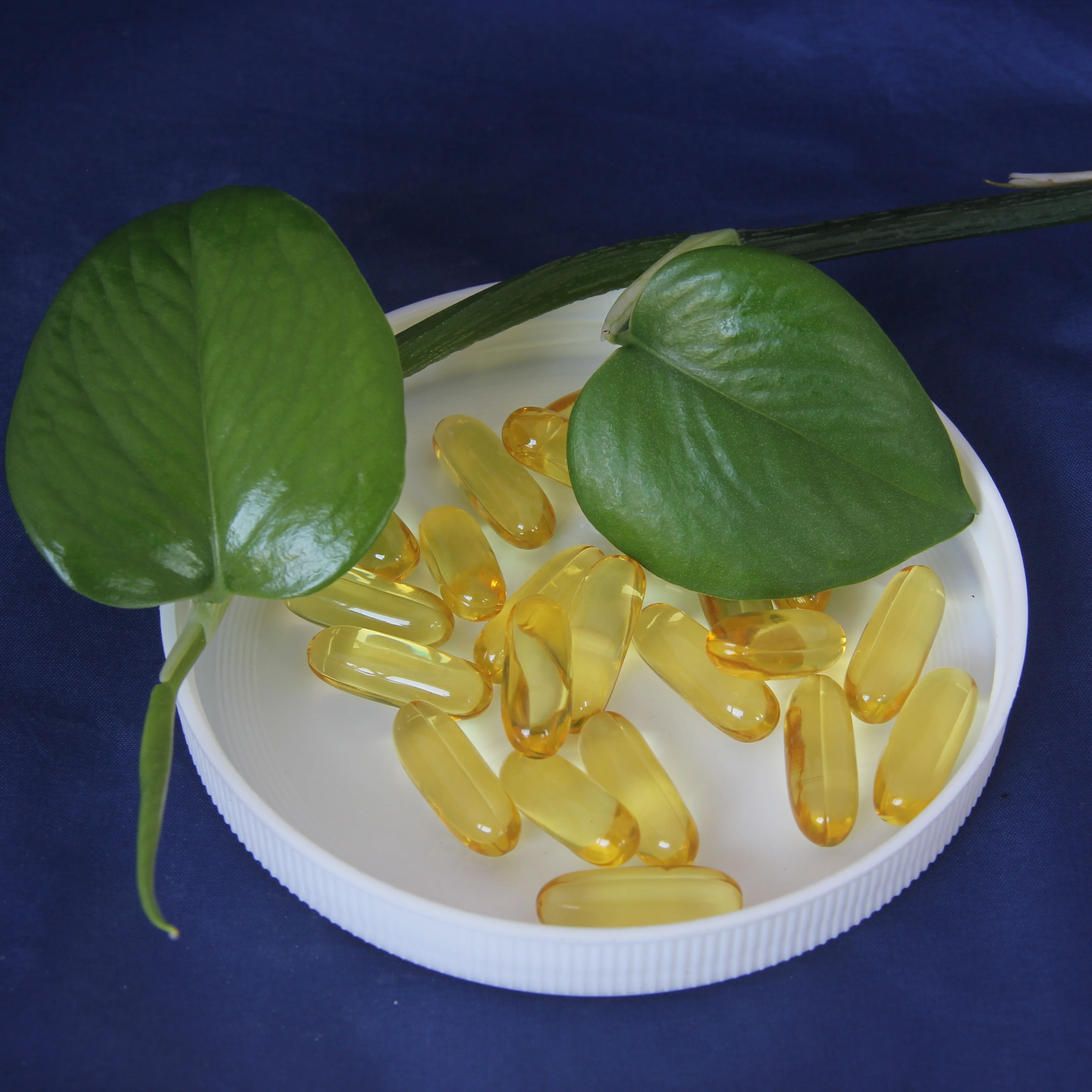 
OEM factory Dietary supplement garlic oil softgel 