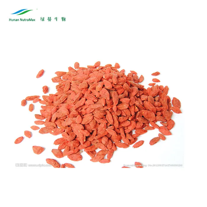 Ягодный порошок сока ягоды годжи для здорового питания