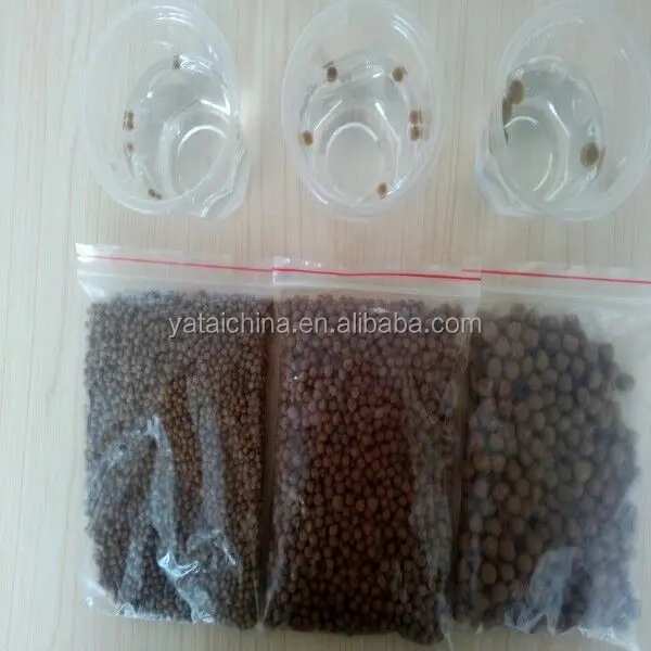 Floating Tilapia Feed