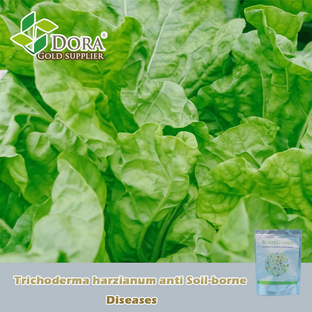 Dora RootGuard - Trichoderma harzianum-для улучшения почвы-быстрая доза для снятия стресса планшетов