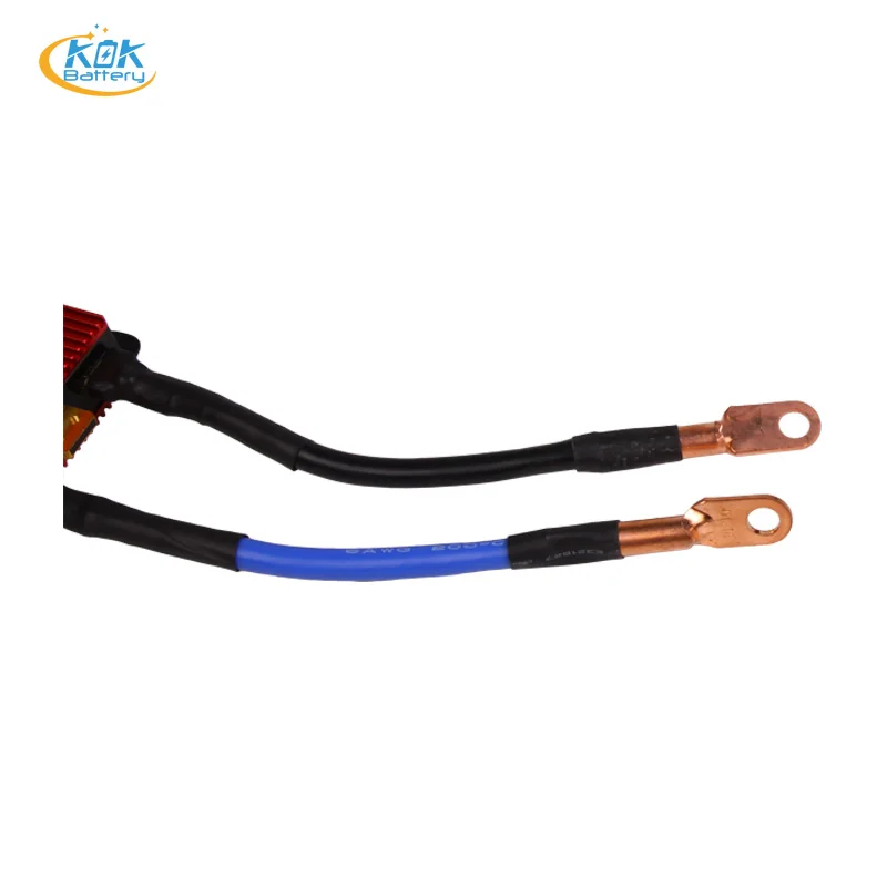 KOK POWER 21S(48V) 100A LTO  PCM PCB Protection Circuit BMS Customized