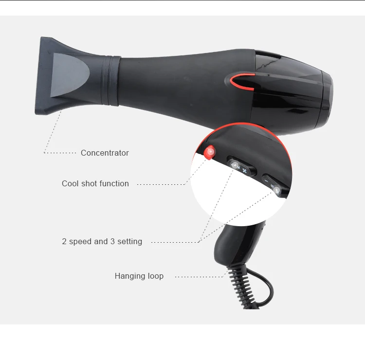 PRITECH Professional Use Customized 110V 220V Ac Motor 2200W Hair Dryer