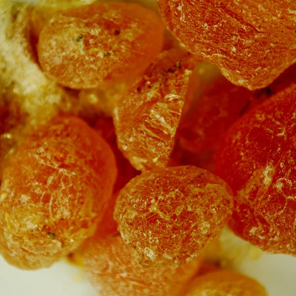 gum arabic food additives