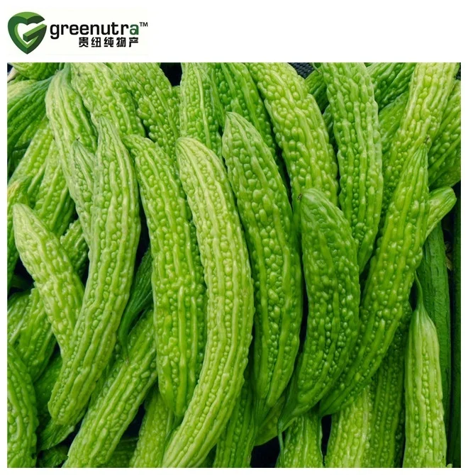 Qualified Bitter melon extract 57126-62-2 with good supplier