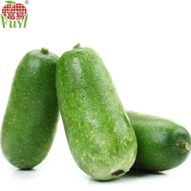 
Winter melon/Traditional export commodities  (60543755167)