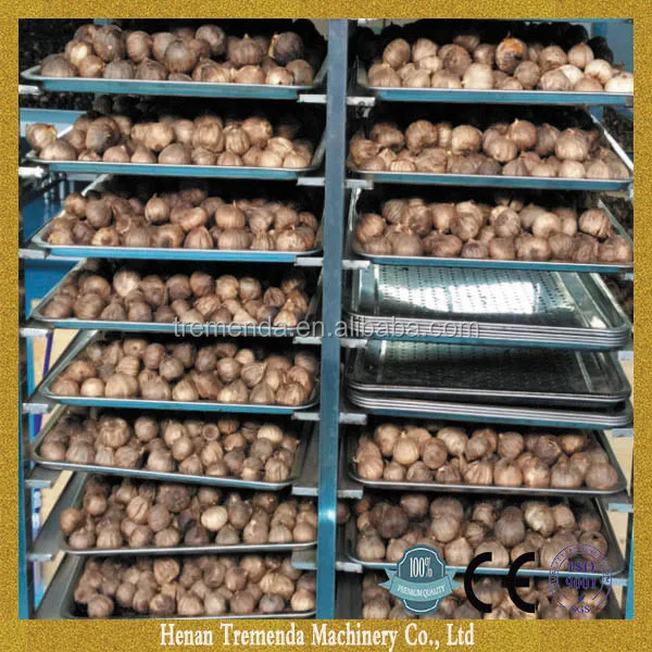 good price black garlic fermenter for sale black garlic fermenting machine