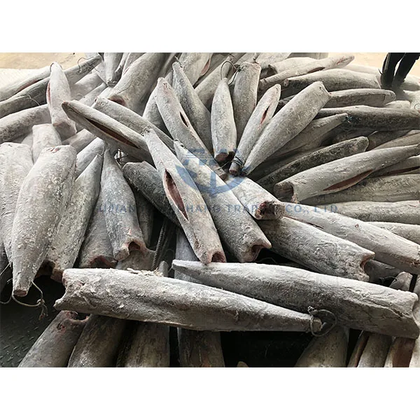 Frozen wahoo HGT 5KG+ (Acanthocybium solandri)