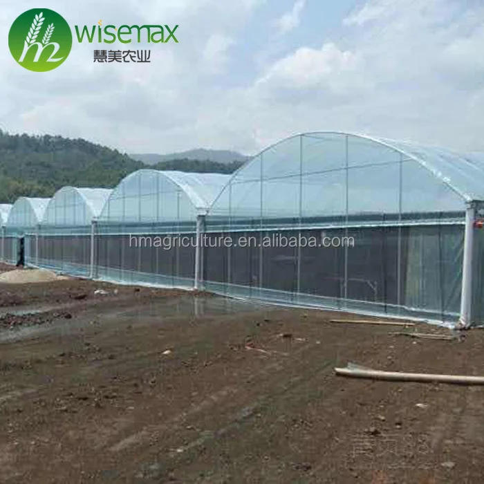 Agriculture tunnel used commercial greenhouse frames for sale