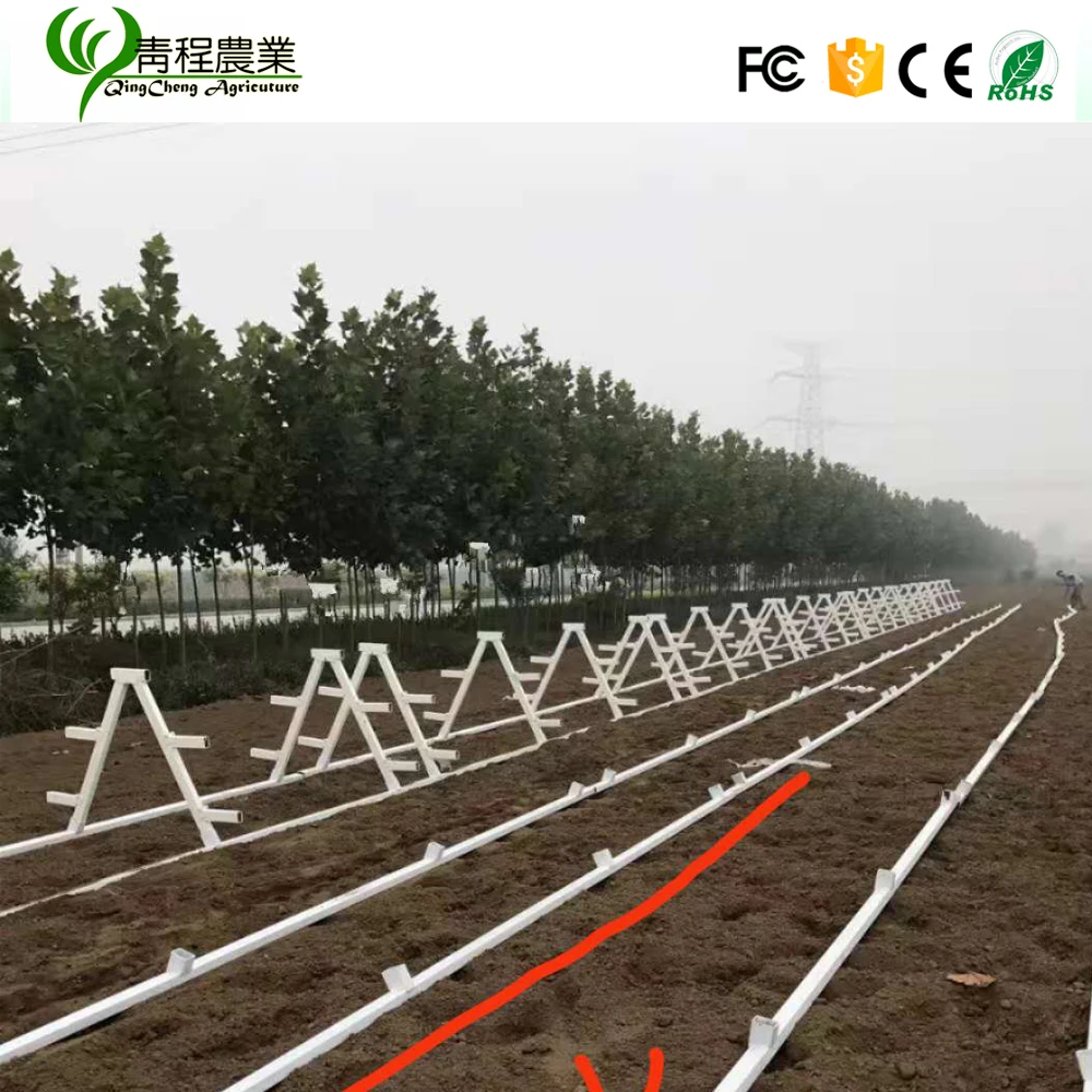 Контейнер для клубники для выращивания клубники Гидропоника клубника