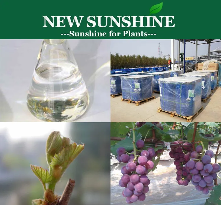 Dormancy-breaking PGR Hydrogen cyanamide 50% SL