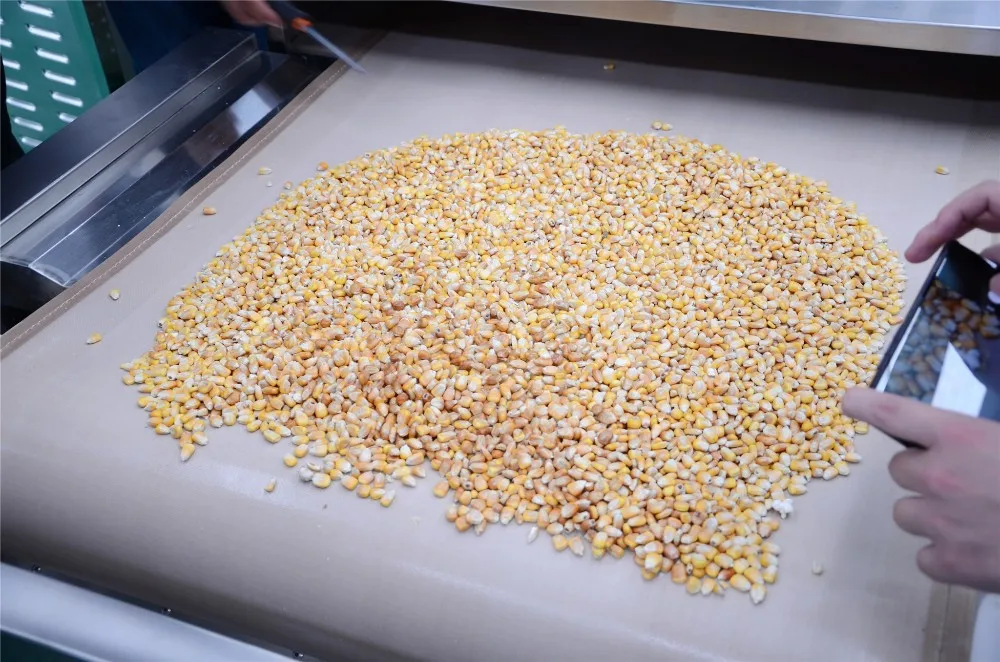 
Energy efficient Larva/Insect/Mantis shrimp microwave drying machine 