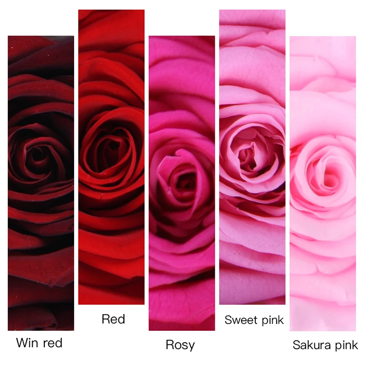 
Best Quality Real Eternal Forever Preserved Rose Head For Festival Decoration 