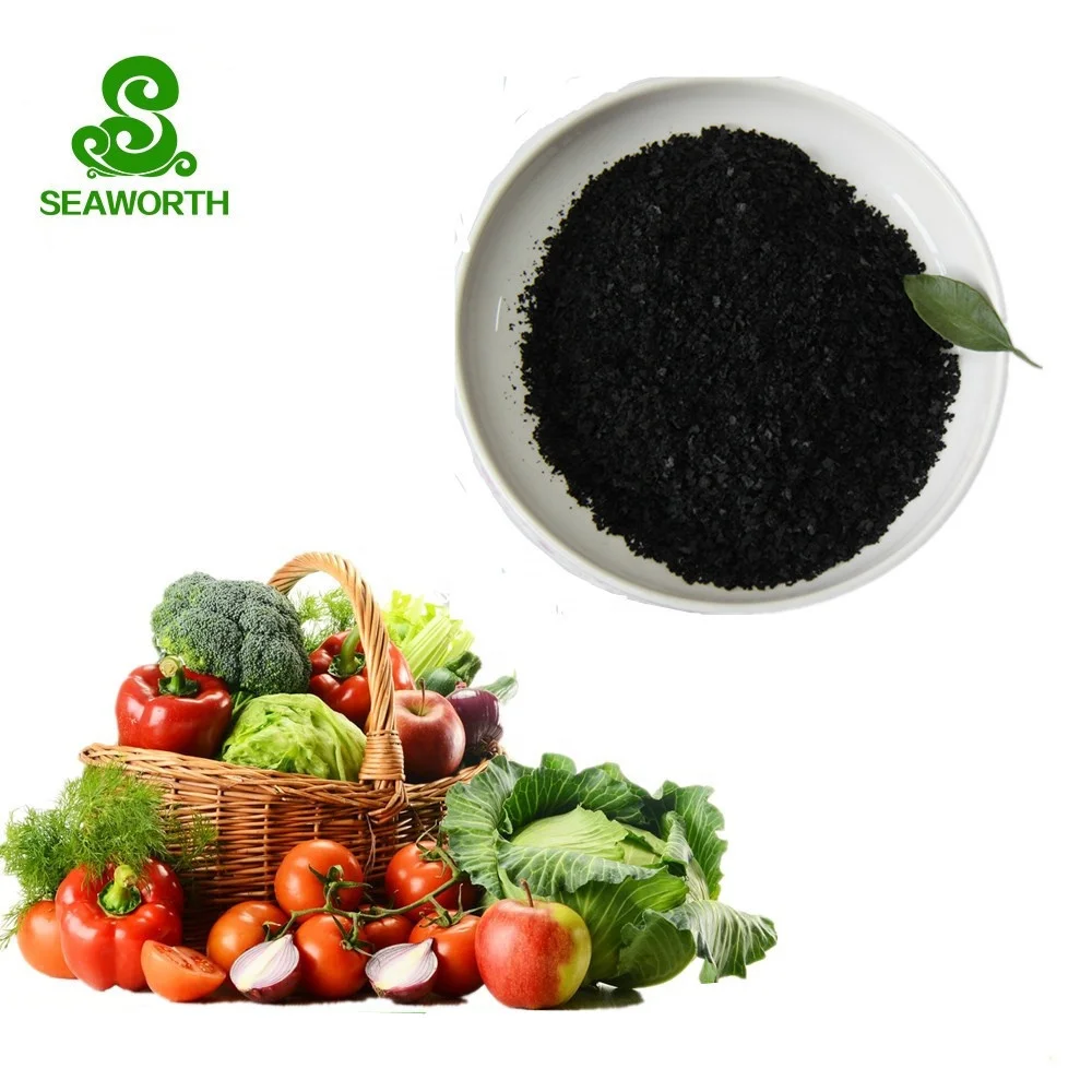Super alga seaweed extracts liquid for grapes