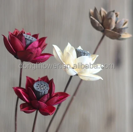 Decorative Dried Artificial Lotus flower craft for floral arrangement