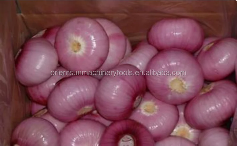 Vegetable slicer/onion ginger garlic cutting machine