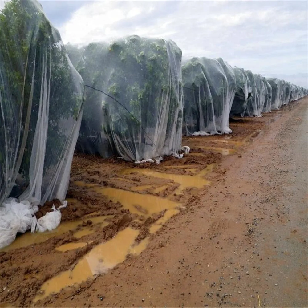 plastic anti bird/Hail/Insect net plants protection net manufacturer for agriculture