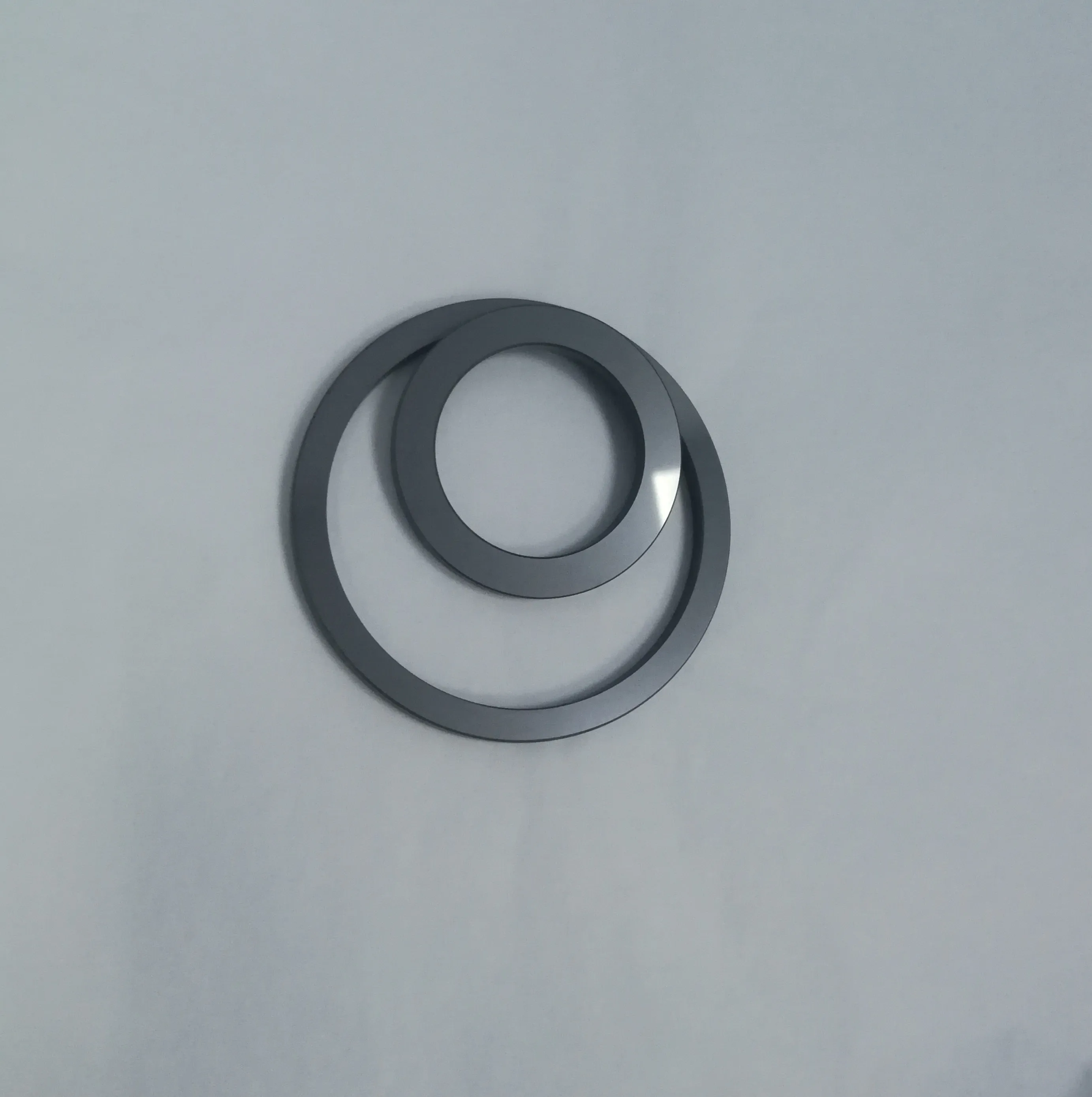 sic plain seal ring MG1 G60 polish lapping