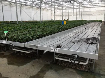 
Agriculture Hydroponics Movable 4x8 FT Rolling Bench for Greenhouse Supplies 