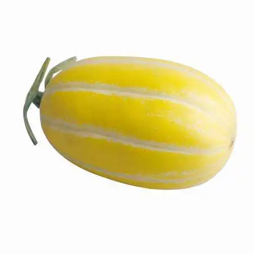 Китайские гибридные семена дыни с хорошими заболеваниями