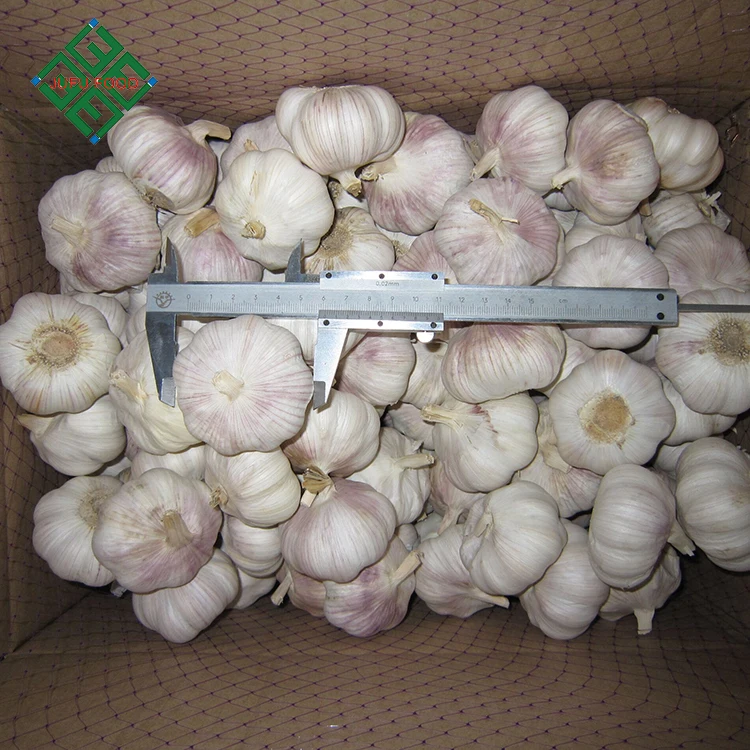 
Best quality bulk pure fresh normal white garlic 