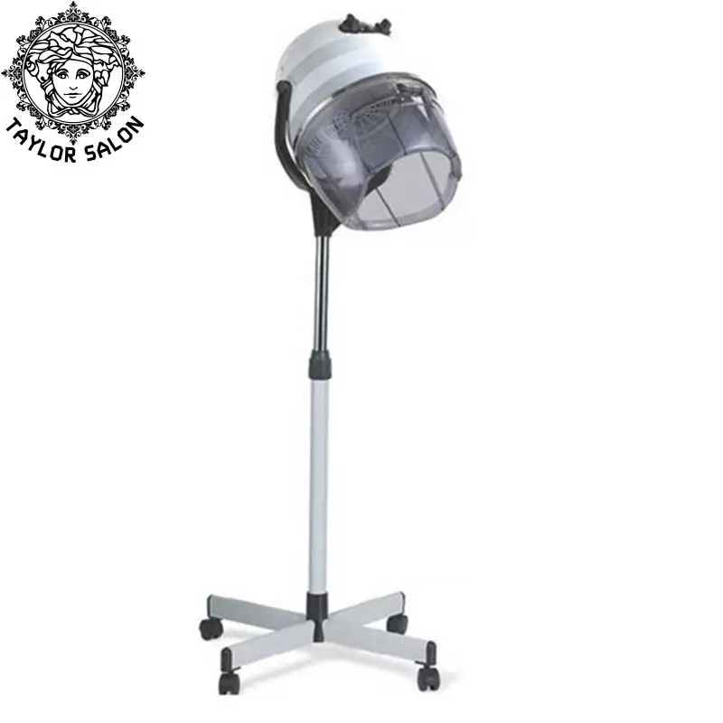 Portable hair steamer and hair dryer accelerator hair steamer for sale