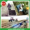 Sulfur-based complex granular fertilizers npk 13-13-21 + 7.7 s