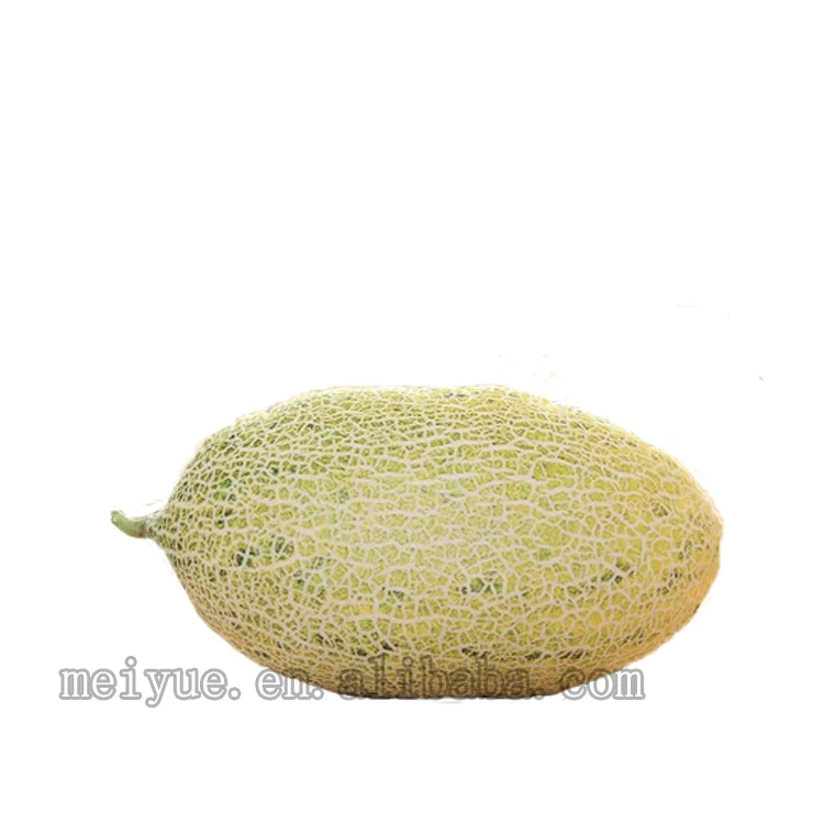Hami Melon Cantaloupe Plush Toys