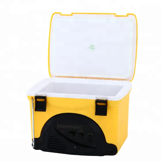 mini cooler box with radio