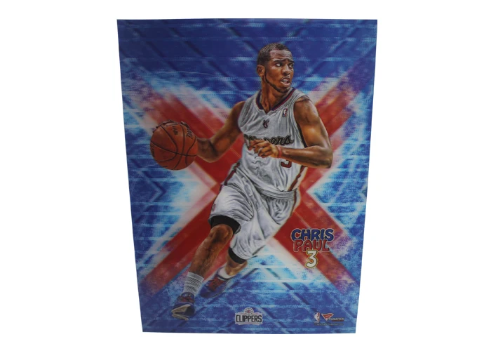Custom 3D Posters 3D / 5D Lenticular Pictures  3D Logo Printing and Advertisement