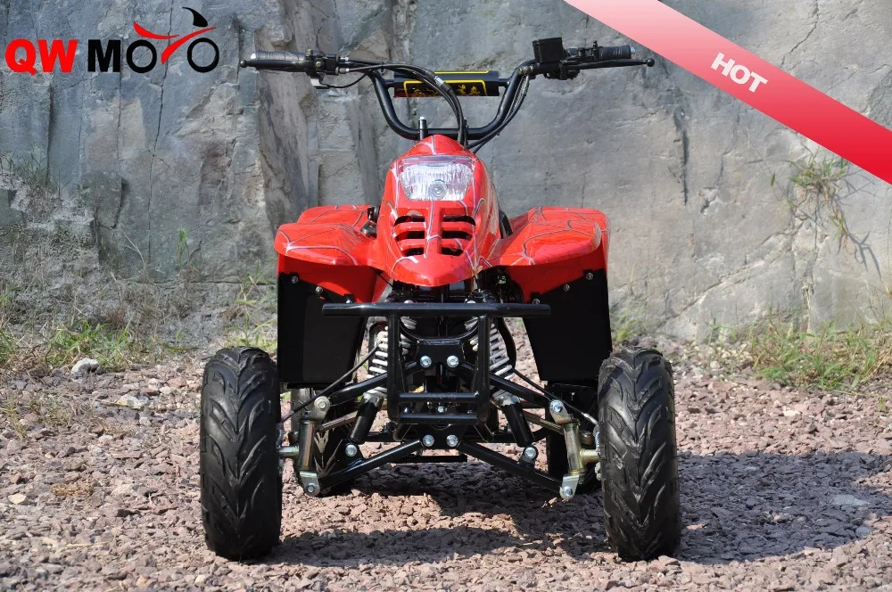 Brushless Motor 500W 48V Electric Mini ATV for Kids