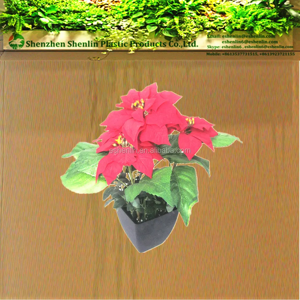 
 Оптовая продажа 2016, искусственные пуансетические растения, шелковые пуансетические цветы  