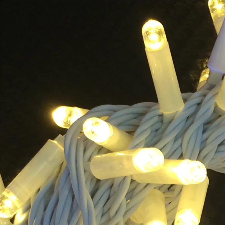 Holiday Outfit Wedding Party Outdoor Decorative LED christmas lights