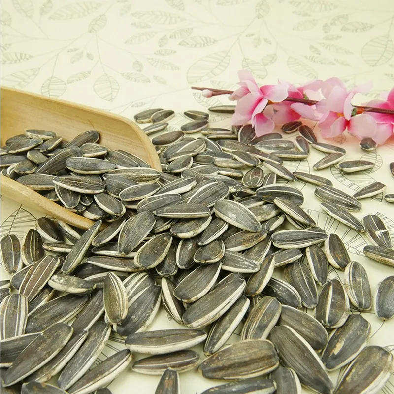 High Quality hybrid sunflower seeds