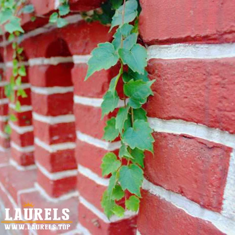 Old Red Birck Artificial Stone from Forming Clay