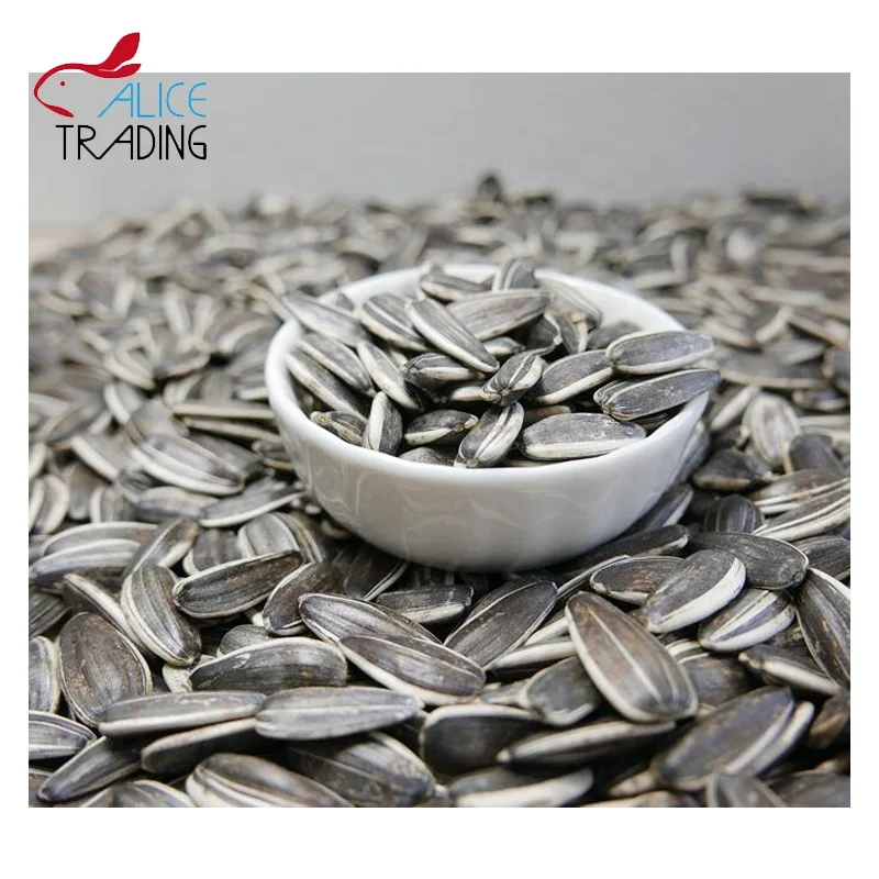 Chinese Inner Mongolia Factory Directly Supply Sunflower Seeds
